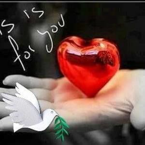 Meet your Posher, Hector